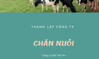 Thành lập công ty TNHH 1 một thành viên chăn nuôi