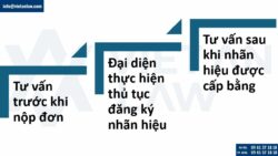 Dịch vụ đăng ký nhãn hiệu trọn gói