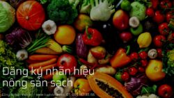 Đăng ký nhãn hiệu cho sản phẩm hàng nông sản sạch