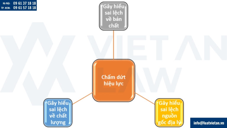 việc sử dụng sai cách nhãn hiệu có thể bị chấm dứt hiệu lực trong duy nhất các trường hợp