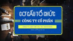 Video về cơ cấu tổ chức, mô hình, thành lập công ty cổ phần