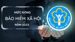 Video về mức đóng bảo hiểm năm 2023 là bao nhiêu?