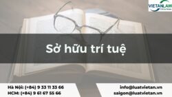 Pháp luật sở hữu trí tuệ