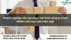 Doanh nghiệp nên lựa chọn mô hình công ty trách nhiệm hữu hạn nào hiện nay?