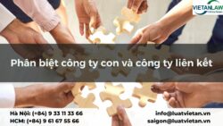 Phân biệt công ty con và công ty liên kết