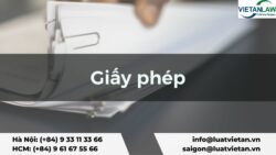 Giấy phép