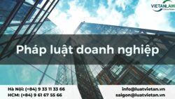 Pháp luật doanh nghiệp