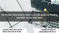 Hình thức kinh doanh dịch vụ tư vấn quản lý thương mại điện tử tại Việt Nam