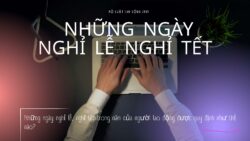 Video về ngày nghỉ lễ, nghỉ tết trong năm cho người lao động