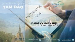 Đăng ký nhãn hiệu tại thị trấn Tam Đảo