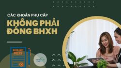 Video về khoản phụ cấp không phải đóng bảo hiểm