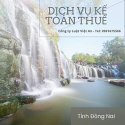 Dịch vụ kế toán thuế tỉnh Đồng Nai