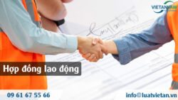 Các dạng hợp đồng lao động tại Việt Nam