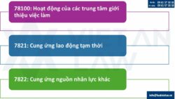 Mã ngành nghề đăng ký kinh doanh dịch vụ việc làm