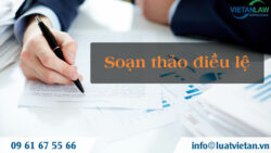 Soạn thảo điều lệ công ty TNHH một thành viên