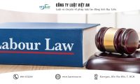 Luật sư tư vấn pháp luật lao động tại tỉnh Bạc Liêu
