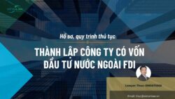 Video hướng dẫn chuẩn bị hồ sơ, trình tự thủ tục thành lập công ty FDI