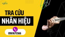 Video tra cứu nhãn hiệu