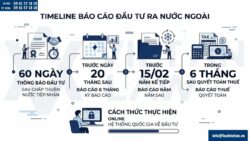 Báo cáo đầu tư ra nước ngoài 2026: Quy định, thời hạn và hướng dẫn chi tiết