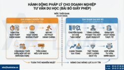 Luật Đầu tư 2025: Bãi bỏ giấy phép tư vấn du học – Doanh nghiệp cần làm gì?