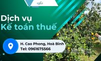 Dịch vụ kế toán thuế tại huyện Cao Phong, Hoà Bình