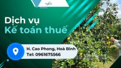 Dịch vụ kế toán thuế tại huyện Cao Phong, Hoà Bình