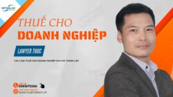 Thành lập công ty 2024 phải nộp các loại thuế nào?