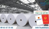 Thành lập công ty sản xuất giấy tại Việt Nam