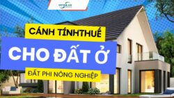 Video về cách tính thuế cho đất ở (Đất phi nông nghiệp)