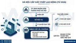 Giấy phép lao động tại Hà Nội – Thủ tục và dịch vụ cấp giấy phép lao động trọn gói