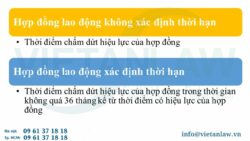 Mẫu hợp đồng lao động chuẩn theo Bộ luật Lao động