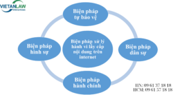 Chống lại hành vi lấy cắp nội dung trên Internet