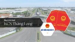 Các NN kinh doanh tại KCN Thăng Long, Hà Nội