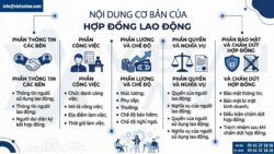Tư vấn soạn thảo hợp đồng lao động đúng quy định 2026
