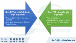 Cách nộp đơn đăng ký sáng chế theo PCT