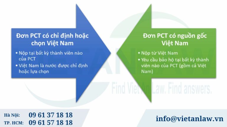 Các loại đơn PCT