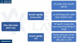 Điều kiện cấp giấy phép phân phối rượu