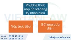 Đăng ký nhãn hiệu tại St. Kitts và Nevis (SaN)