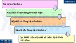 Mẫu giấy chứng nhận đăng ký nhãn hiệu cập nhật nhất