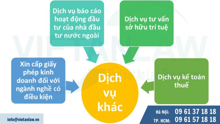 Các dịch vụ nâng cao khác cho doanh nghiệp FDI tại Việt Nam