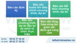 Quy định về báo cáo giám sát công ty FDI