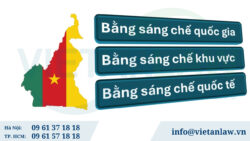 Đăng ký sáng chế tại Cameroon thông qua hệ thống OAPI hoặc PCT