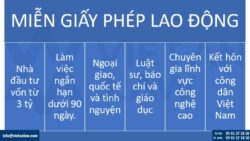 Người nước ngoài làm việc online có cần giấy phép lao động không?