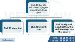 Quy định hưởng chế độ thai sản đối với lao động nữ mang thai hộ khi sinh con