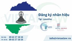 Đăng ký nhãn hiệu tại Lesotho qua hệ thống ARIPO & Madrid