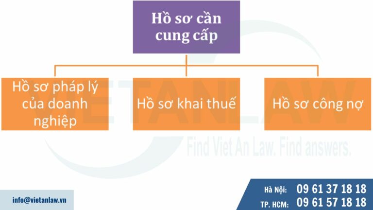 Hồ sơ cần cung cấp khi sử dụng dịch vụ kế toán thuế tại Luật Việt An cho công ty phân phối thực phẩm