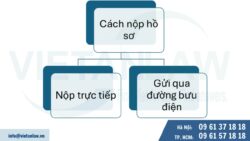 Đăng ký nhãn hiệu tại Ả rập Xê-út (theo Luật Nhãn hiệu GCC)