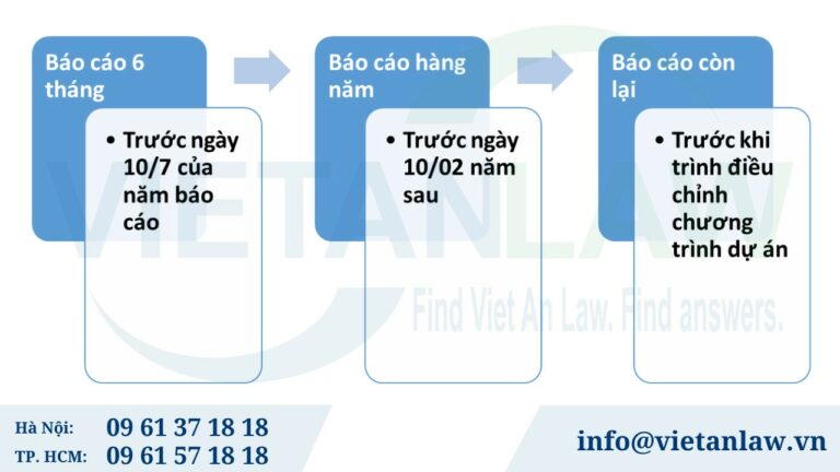 Thời gian báo cáo giám sát công ty FDI là khi nào