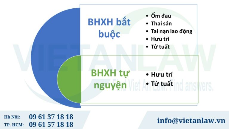 các chế độ BHXH 