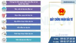 Các nội dung thay đổi cần điều chỉnh giấy chứng nhận đầu tư công ty FDI